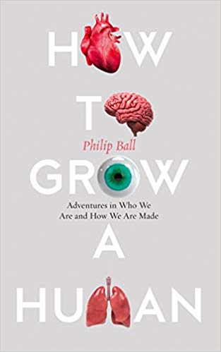 How to Grow a Human: Adventures in Who We Are and How We Are Made Hardcover – May by Philip Ball