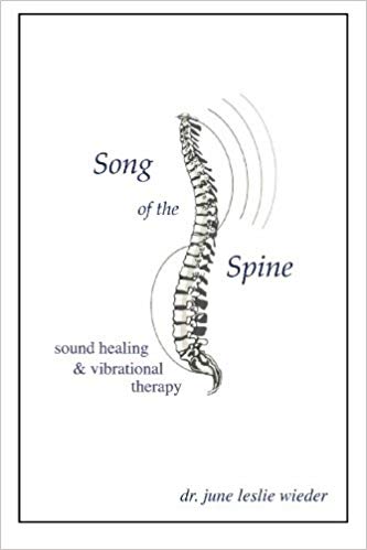 Song Of The Spine Paperback – May  by Dr. June Leslie Wieder