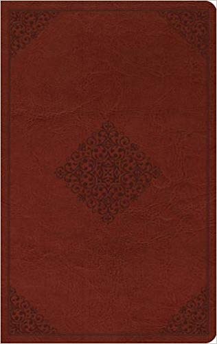 ESV Large Print Value Thinline Bible (TruTone, Tan, Ornament Design) Imitation Leather – Large Print, February by ESV Bibles by Crossway