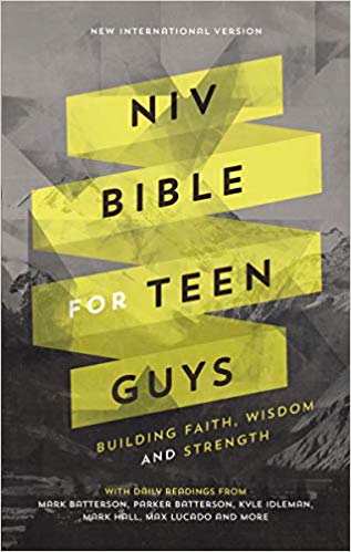 NIV, Bible for Teen Guys, Hardcover: Building Faith, Wisdom and Strength Hardcover – October by Zondervan